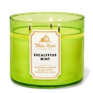 EUCALYPTUS MINT 3-WICK CANDLE